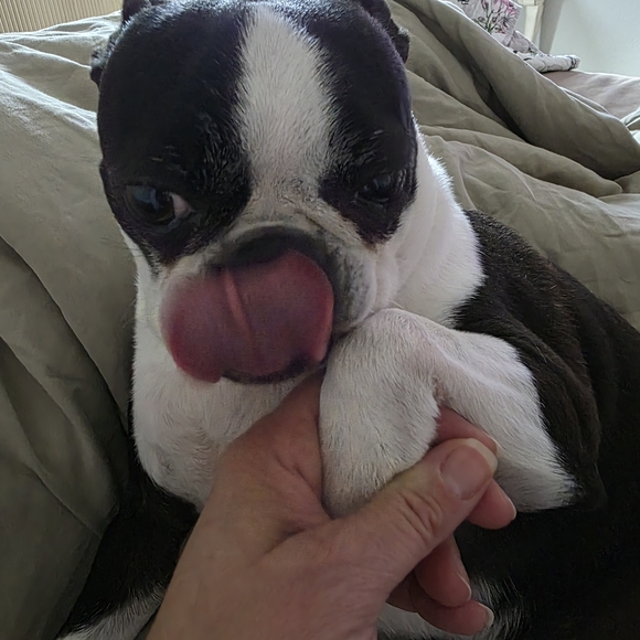 Hello Everyone 🥰💎❤️💖⚘️💍🥂 - Picture 9 of 17